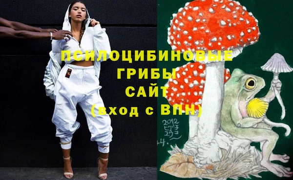 альфа пвп Няндома