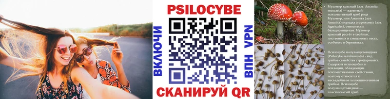 KRAKEN онион  купить   Чаплыгин  Псилоцибиновые грибы Cubensis 